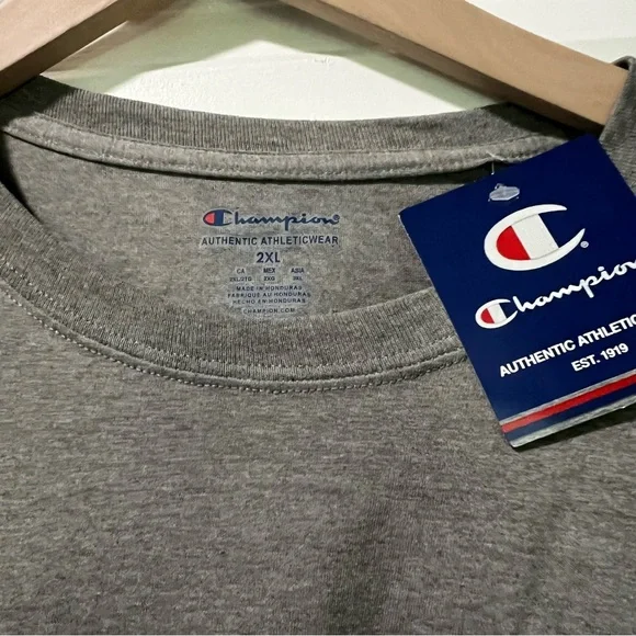 NWT Champion Adult Sz 2XL Gray The University of Texas at Austin Longhorns Tee - Picture 4 of 6